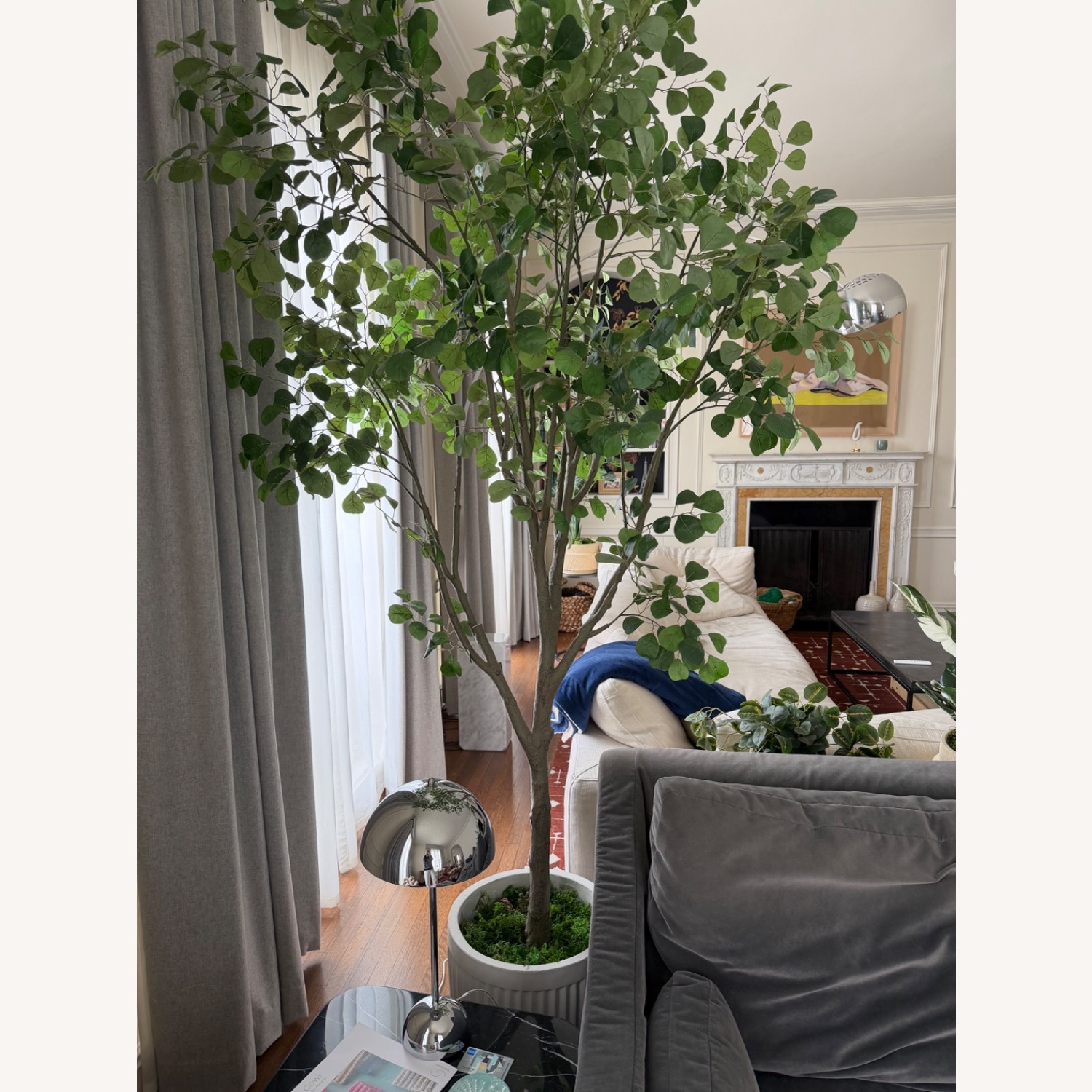 Pottery Barn Faux Shady Lady Olive Tree - image-1
