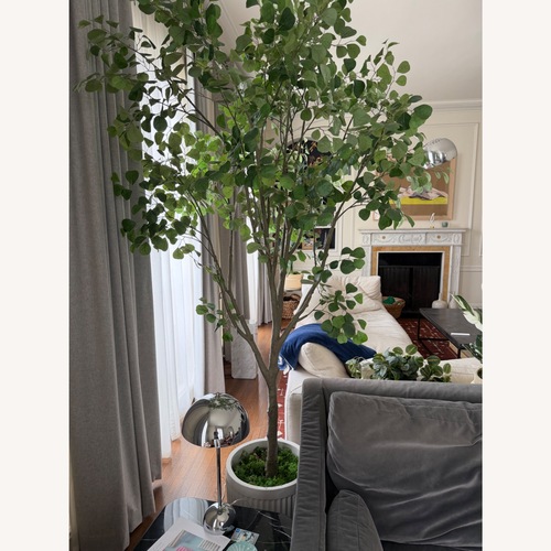 Used Pottery Barn Faux Shady Lady Olive Tree for sale on AptDeco