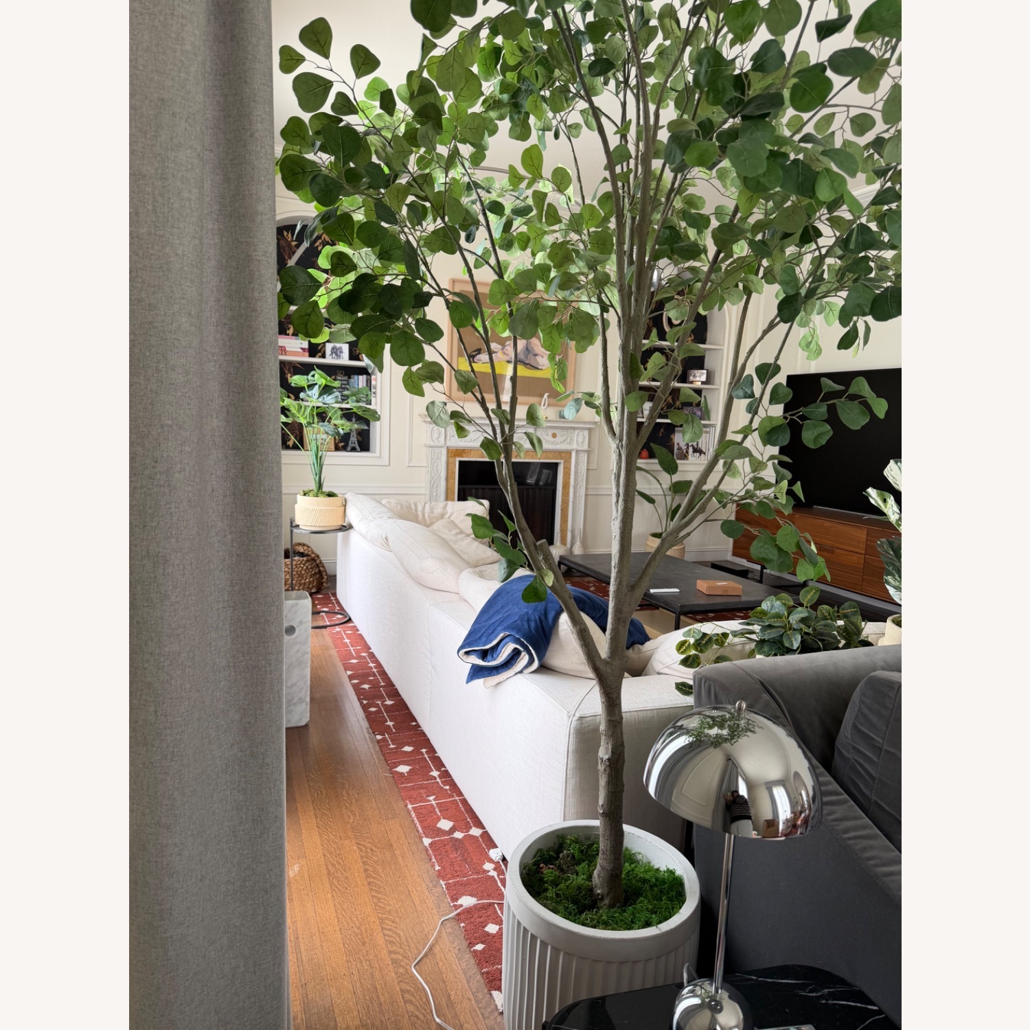 Pottery Barn Faux Shady Lady Olive Tree - image-2