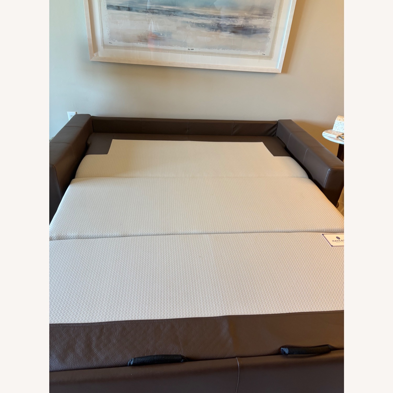 Genuine Leather Sleeper Sofa - image-3