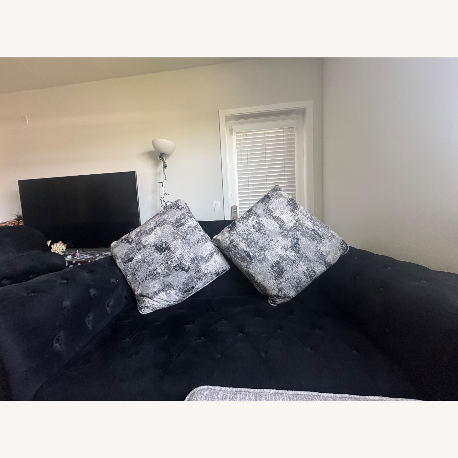 Black Velvet 2 Seater Sofa - image-3