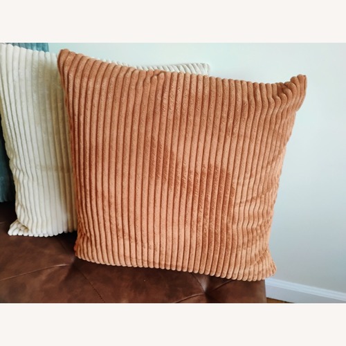 Used Velvet Pillow for sale on AptDeco