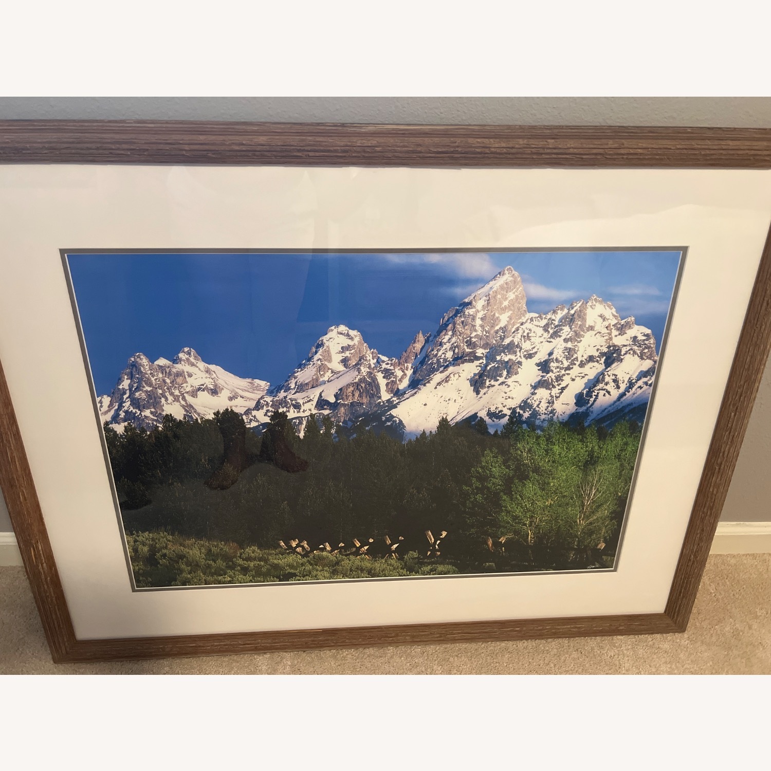 Frederic C. Joy Summer Snow Dark Brown Glass Wall Art - image-9