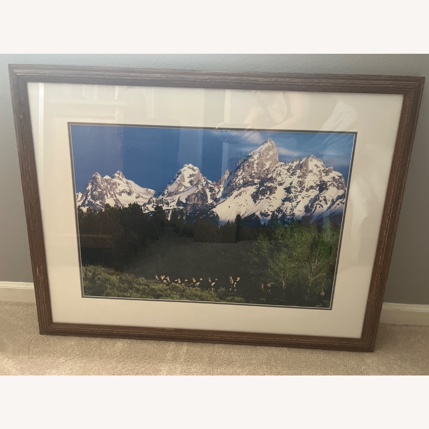 Frederic C. Joy Summer Snow Dark Brown Glass Wall Art - image-1