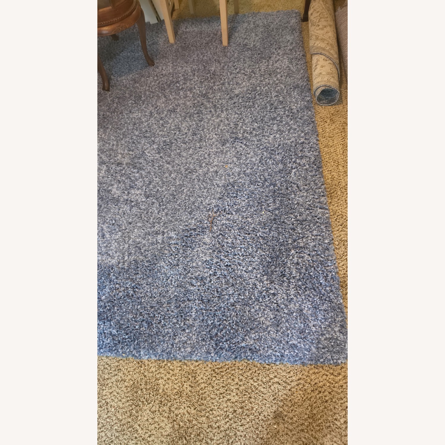 Bright Royal Blue 8 X 10 Shag Area Rug - image-4
