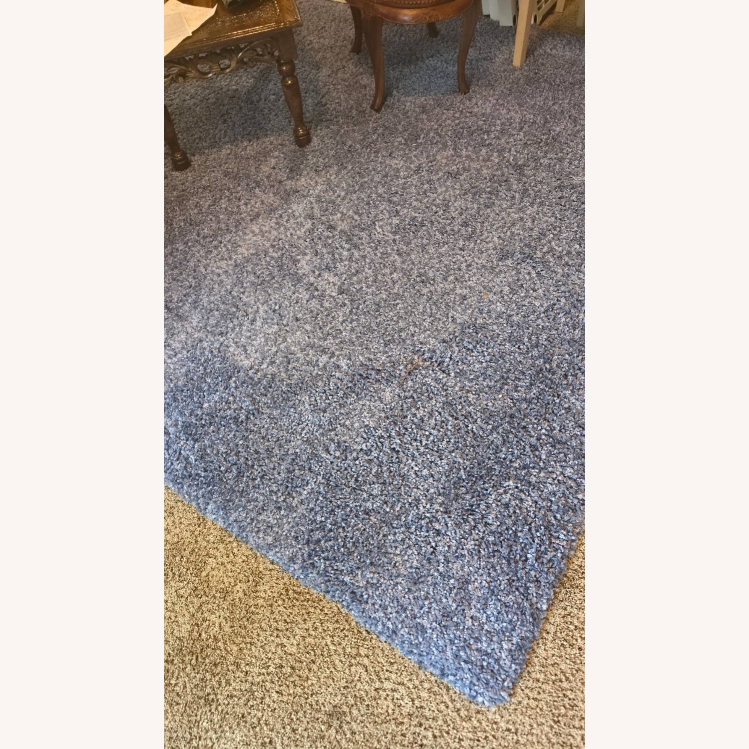 Bright Royal Blue 8 X 10 Shag Area Rug - image-3