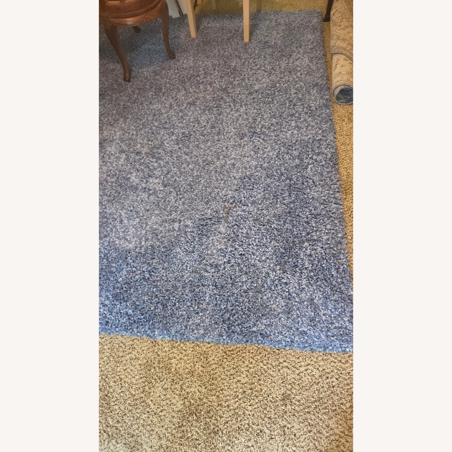Bright Royal Blue 8 X 10 Shag Area Rug - image-2