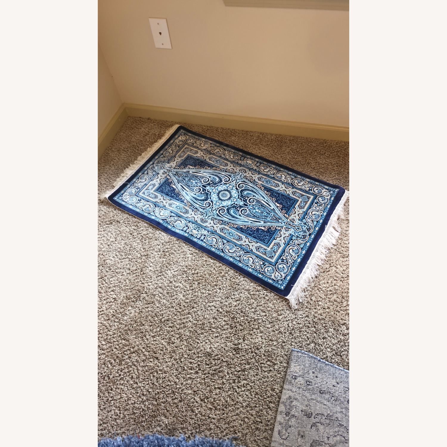Traditional Turkish Bamboo Silk 2 X 3 Rug - image-12