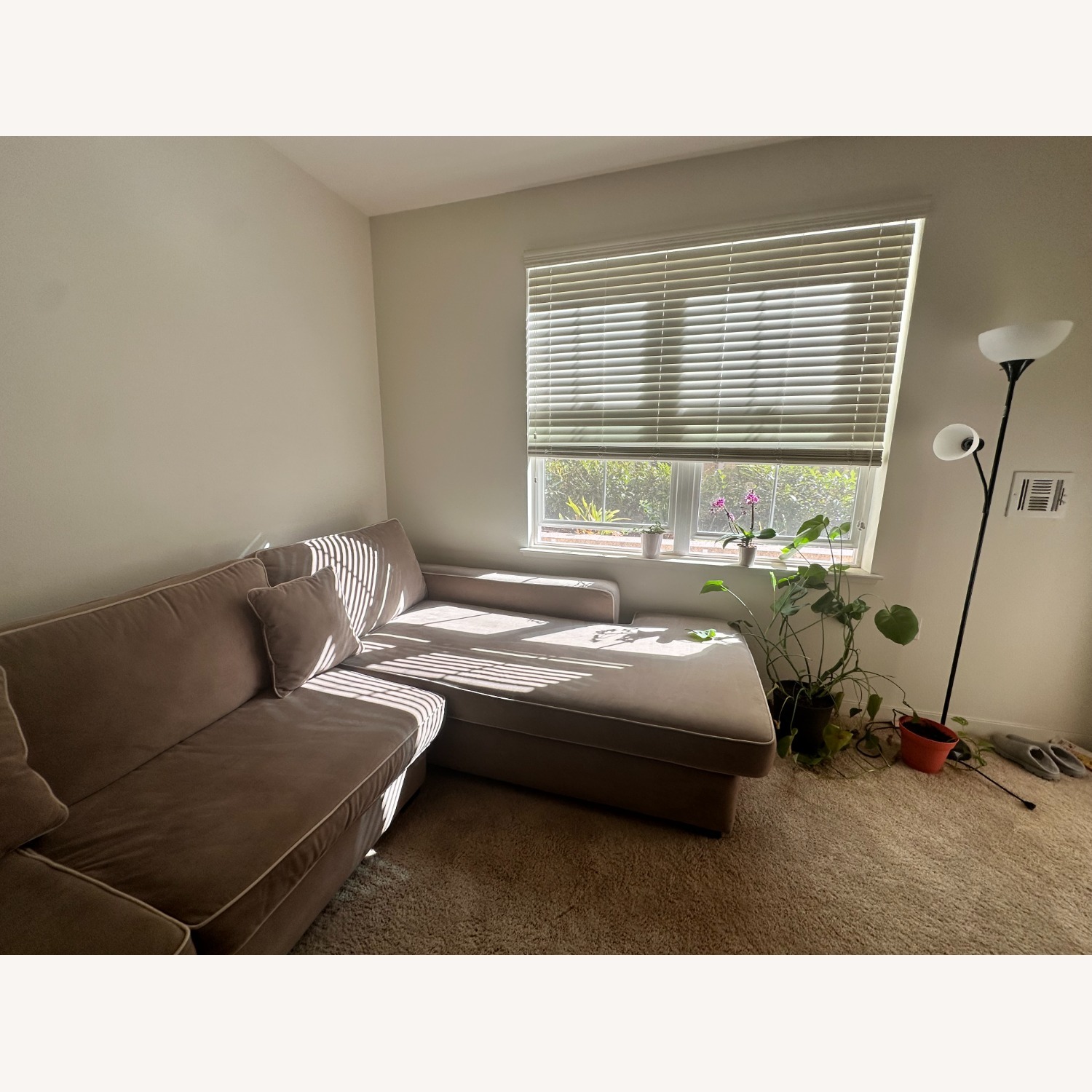 Light Brown/ Tan Velvet Chaise Lounge - image-3