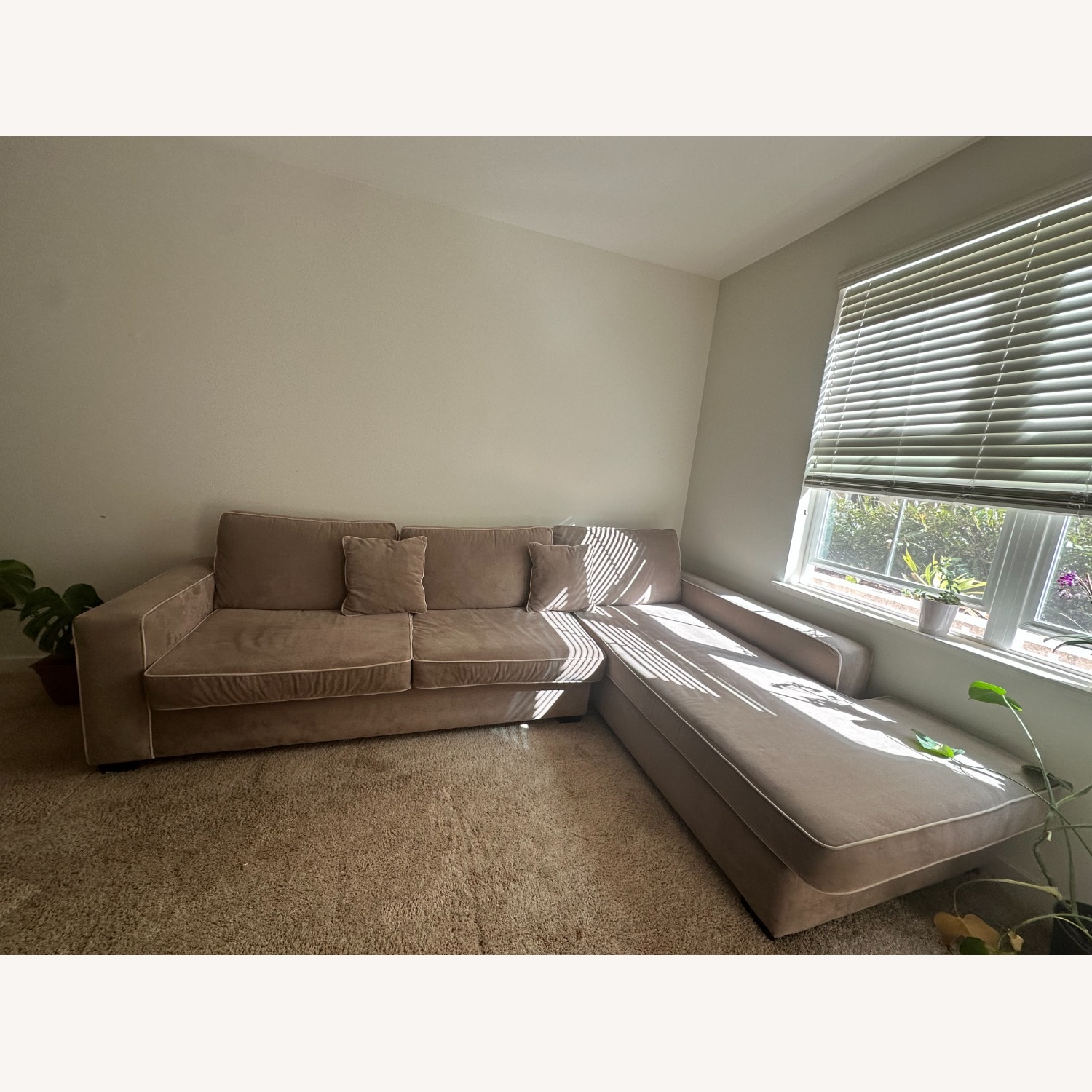 Light Brown/ Tan Velvet Chaise Lounge - image-1