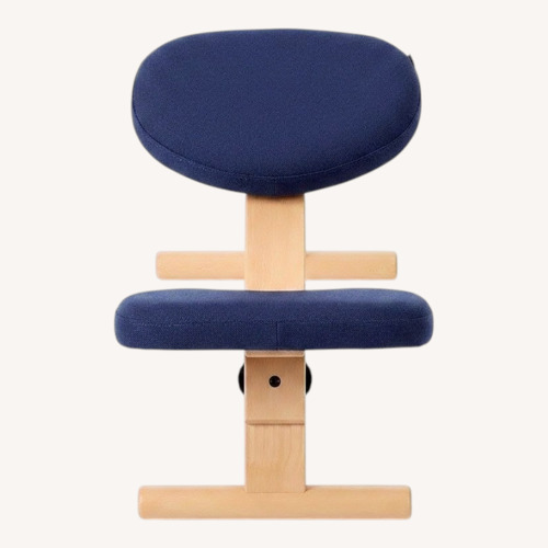 Used Japan's Ergonomic Technology Posture Support Chair for sale on AptDeco