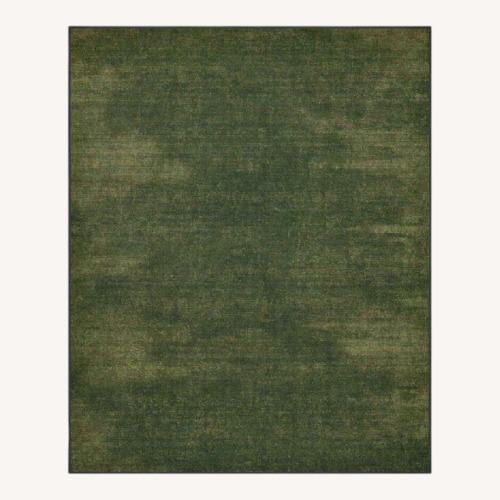 Used Ruggable Green Area Rug 8' x 10' for sale on AptDeco
