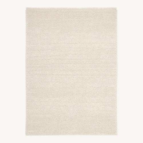 Used Safavieh Natural Wool Area Rug 4' x 6' for sale on AptDeco