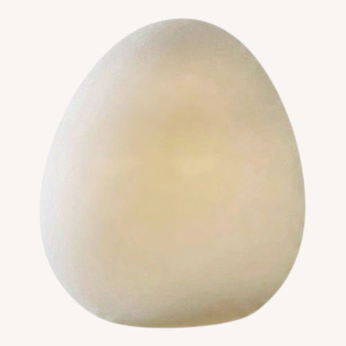 Used Ligne Roset Dolmen Glass Egg Floor Lamp for sale on AptDeco