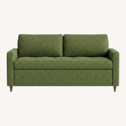 Used The Mcm Sofa Bed Green Fabric Sleeper Sofa for sale on AptDeco