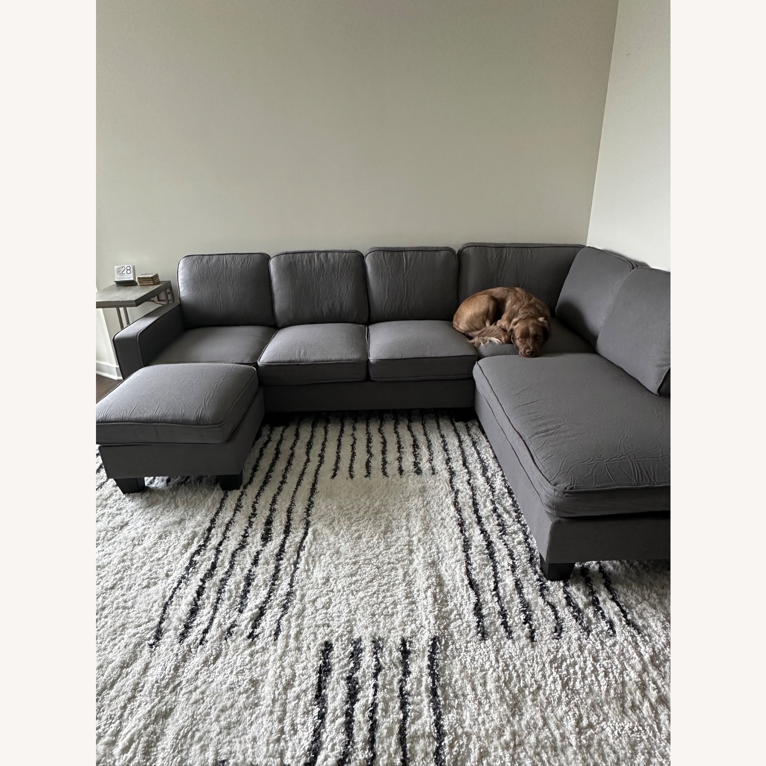 Euroco Dark Gray 7 Seat Sectional - image-5