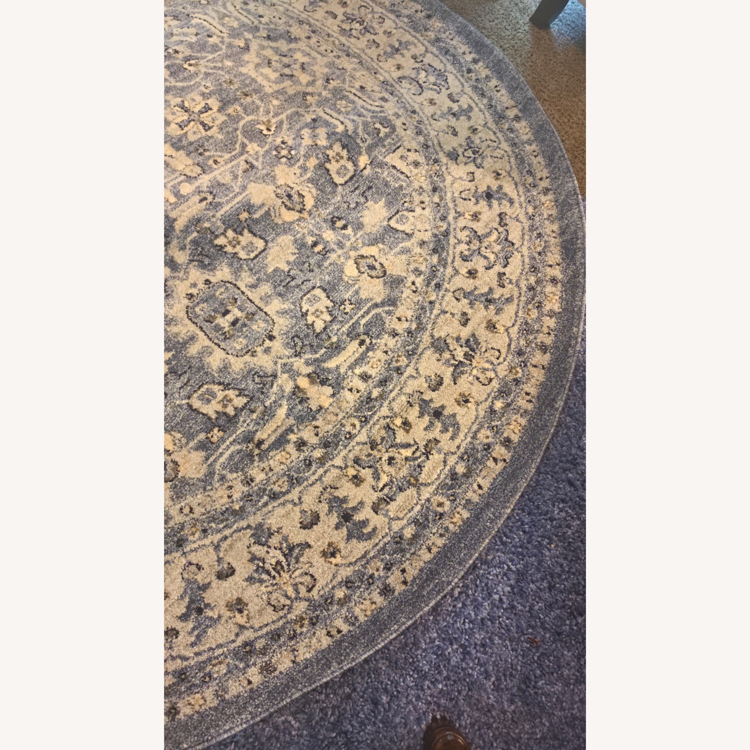 Safavieh Charlestown Blue / Gray Area Rug 6' x 6' Round - image-3