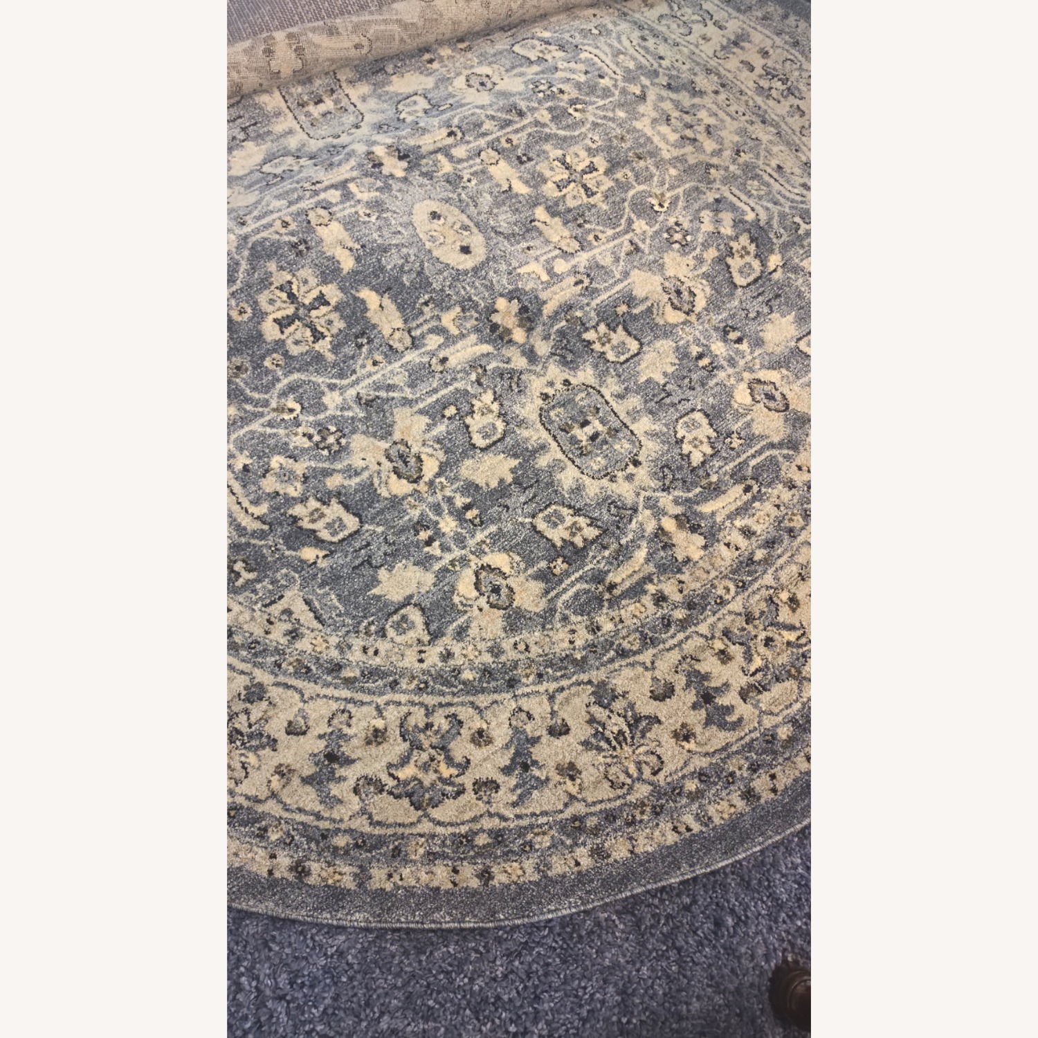 Safavieh Charlestown Blue / Gray Area Rug 6' x 6' Round - image-7