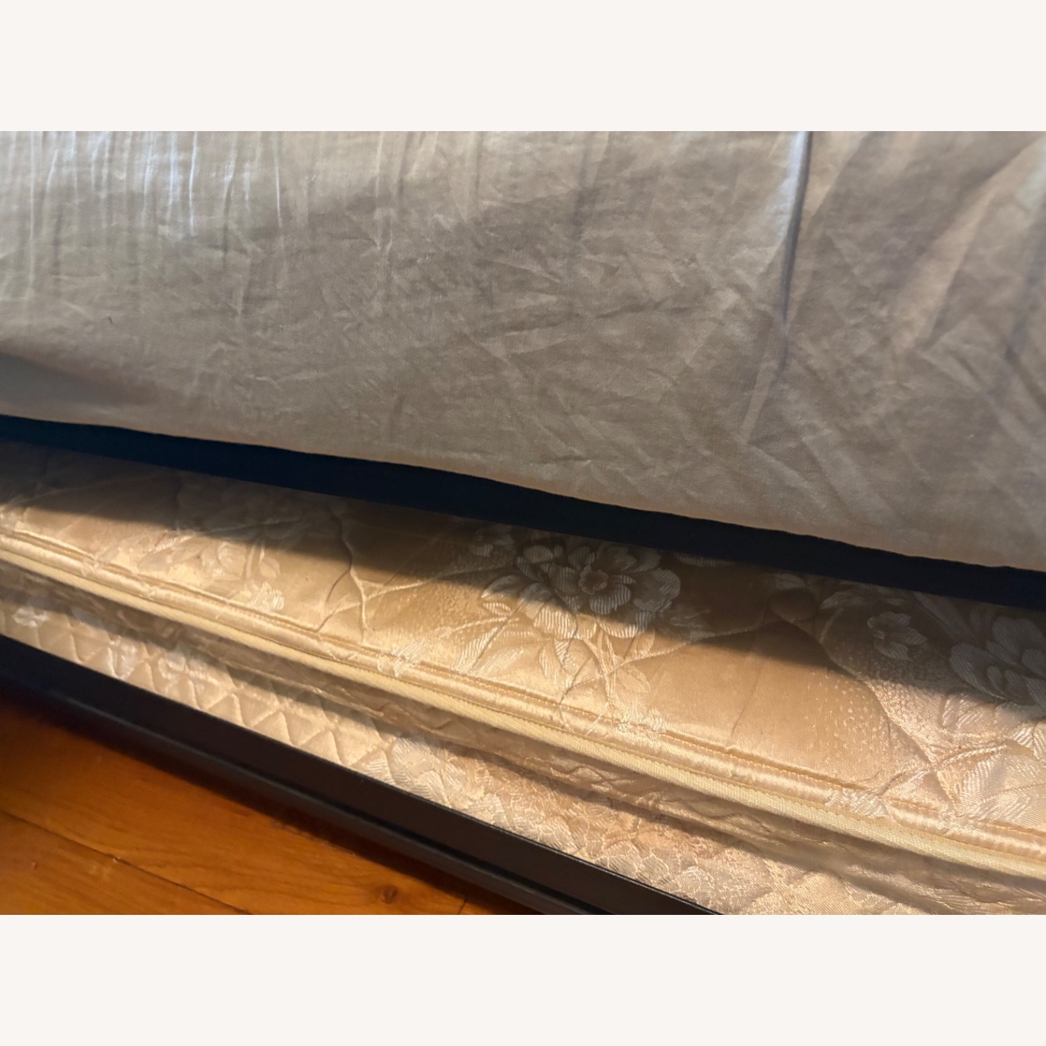 Charles P. Rogers Black Iron Daybed - image-5