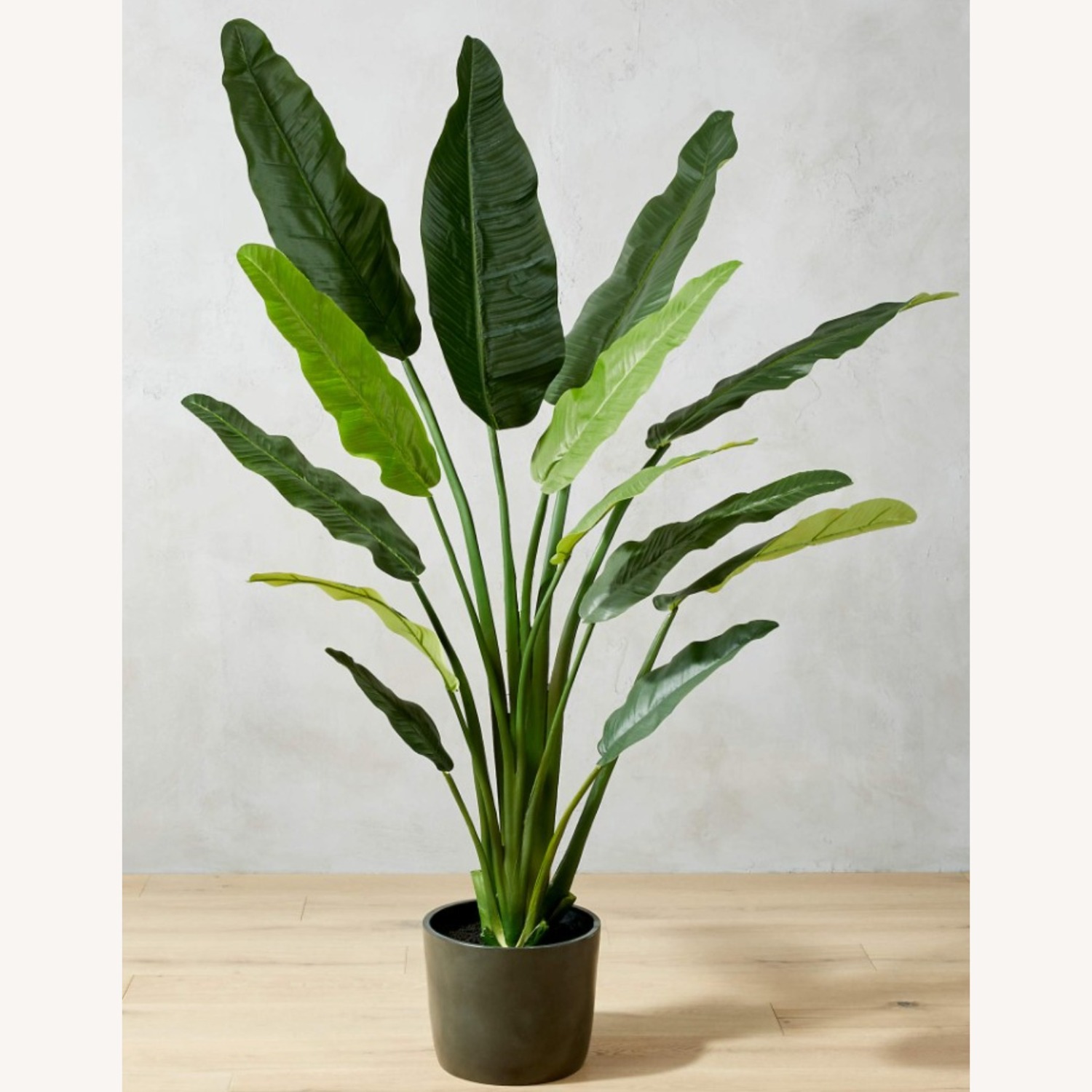 CB2 Potted Faux Bird of Paradise 6' - image-2