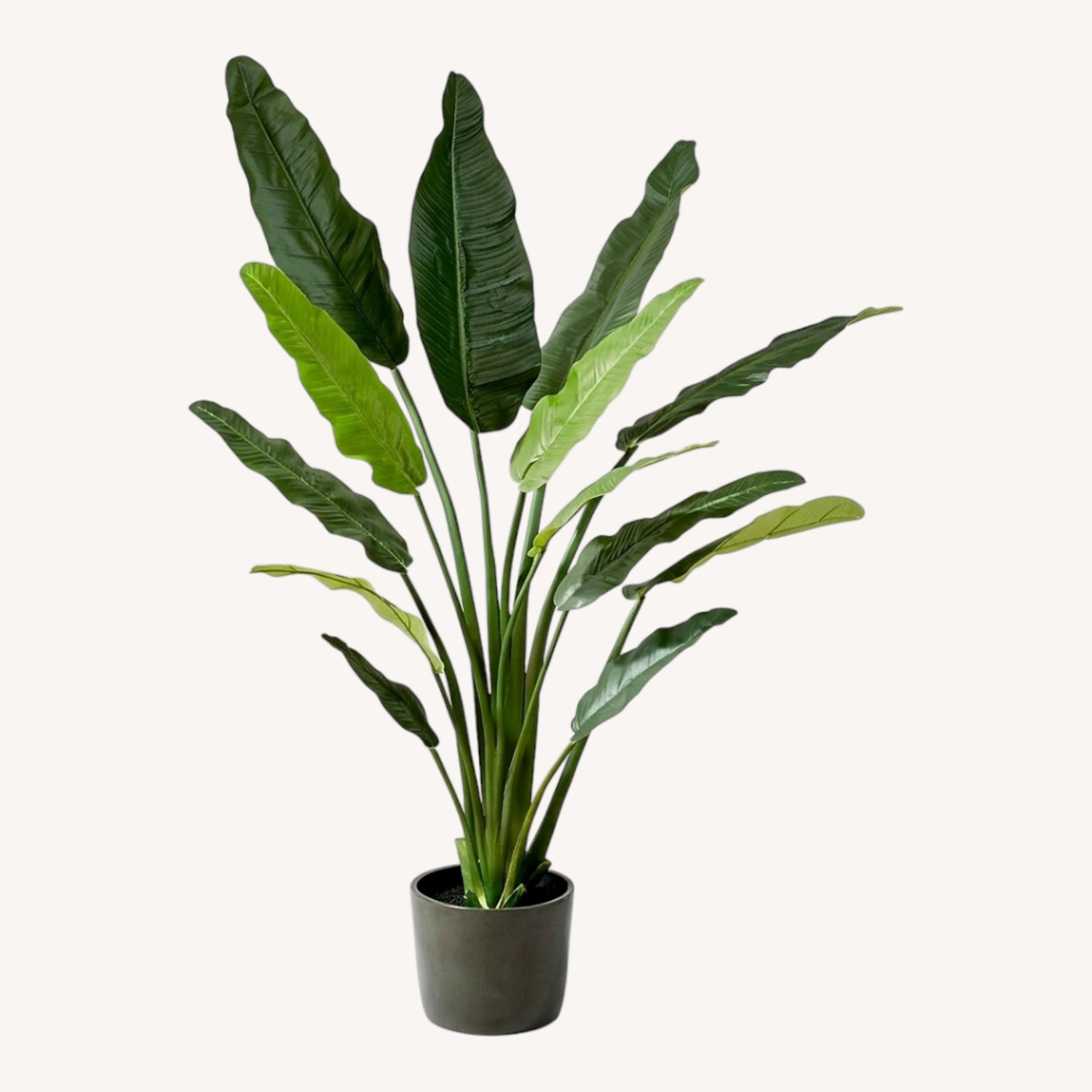 CB2 Potted Faux Bird of Paradise 6' - image-0