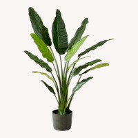 CB2 Potted Faux Bird of Paradise 6'