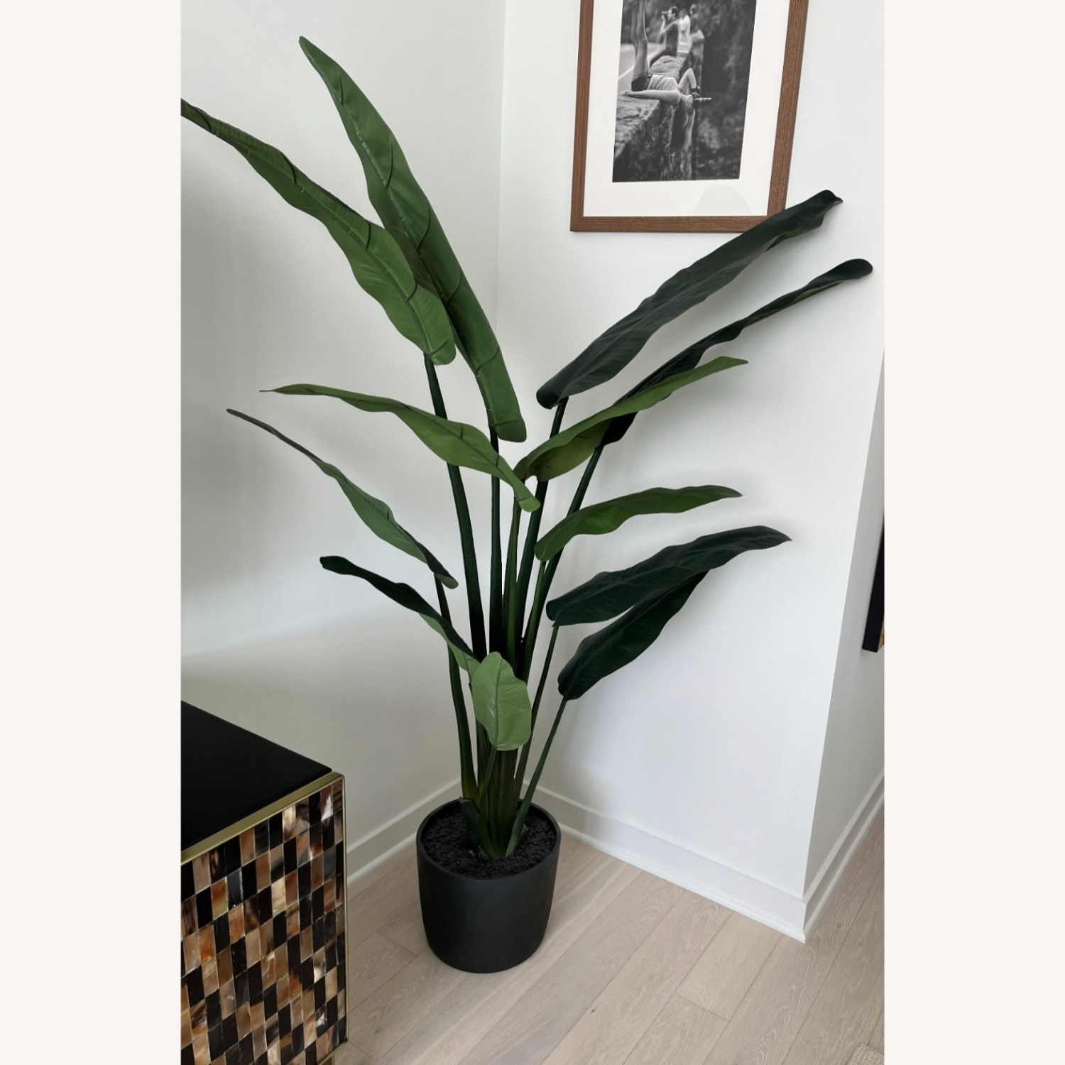 CB2 Potted Faux Bird of Paradise 6' - image-1