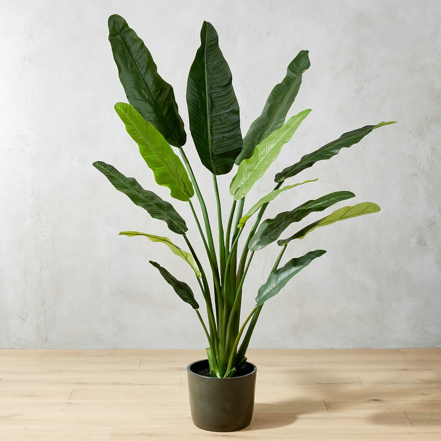 CB2 Potted Faux Bird of Paradise 6' - image-4