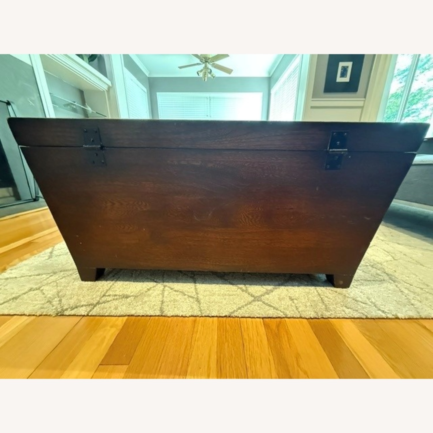 Pottery Barn Cairo Wood Chest/Coffee Table - image-5