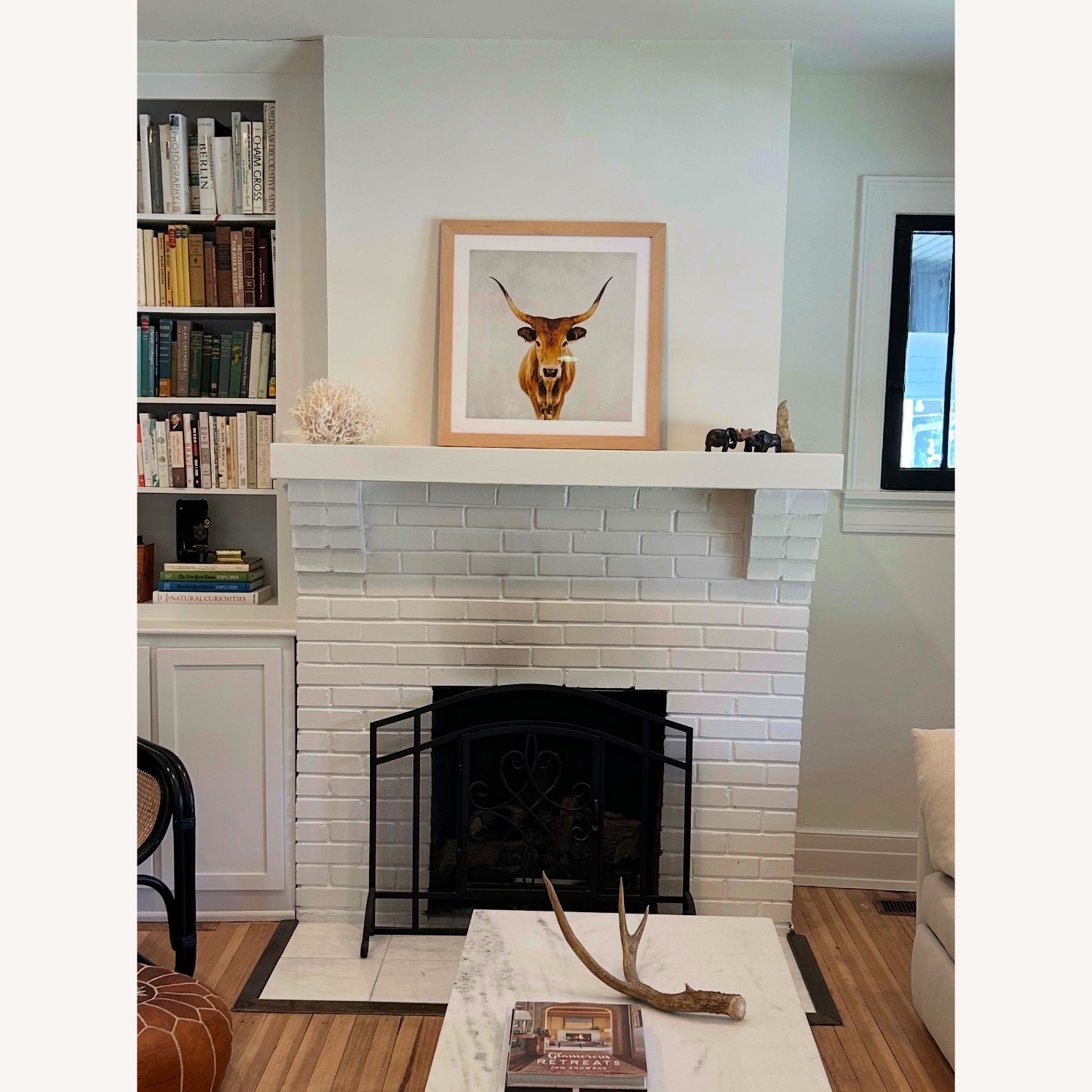 Longhorn Bull Framed Photograph - image-3