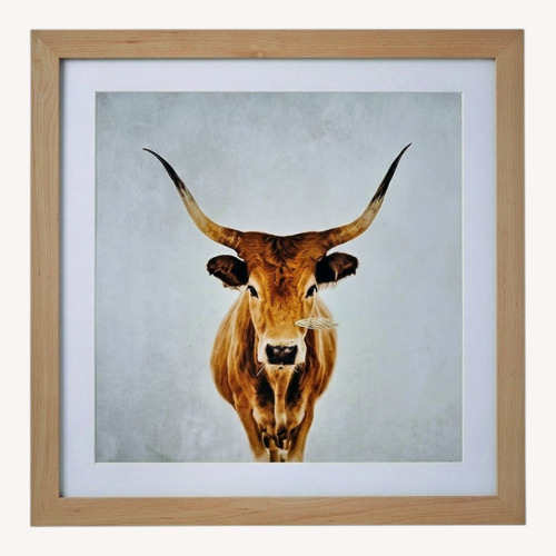 Used Longhorn Bull Framed Photograph for sale on AptDeco