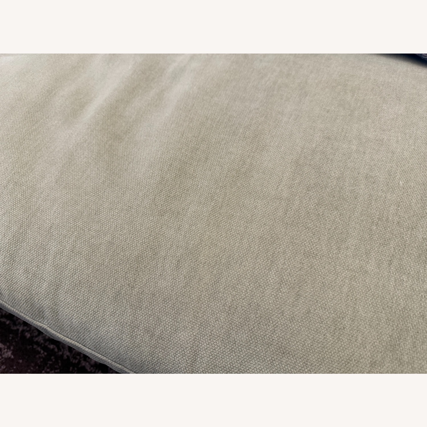 West Elm Harmony Light Gray Velvet 2 Seater Sofa - image-6