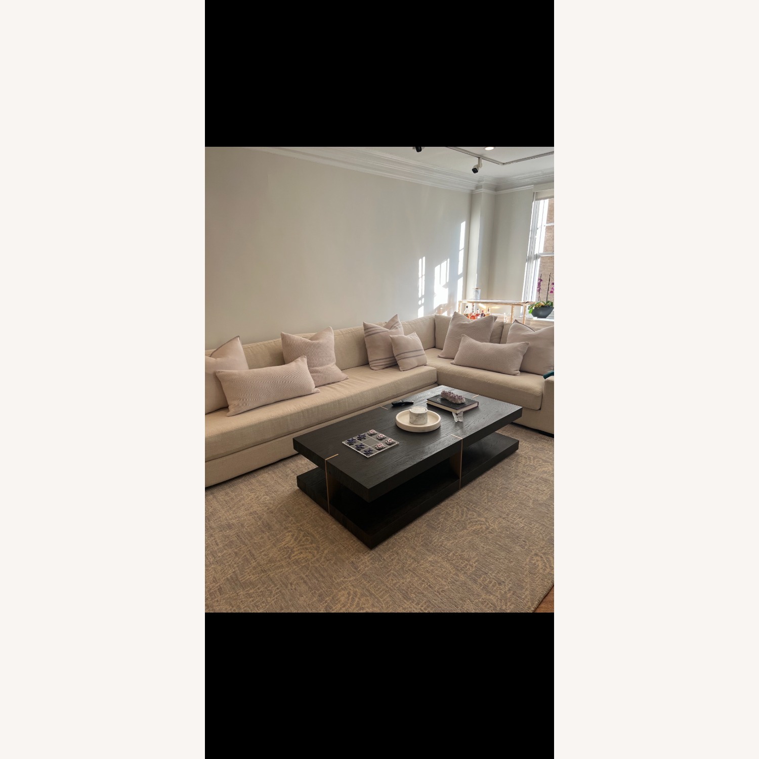 Restoration Hardware Modena Sectional  - image-3