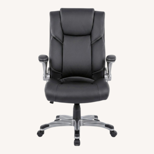 Used Amazon Executive Office Chair Inflatable Lumbar Support for sale on AptDeco