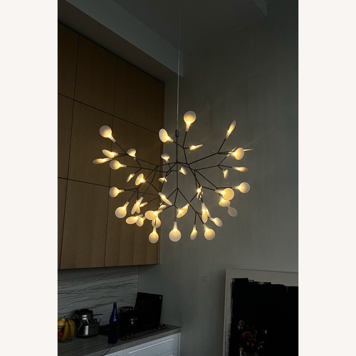 Used Moooi New York Heracleum III Pendant for sale on AptDeco