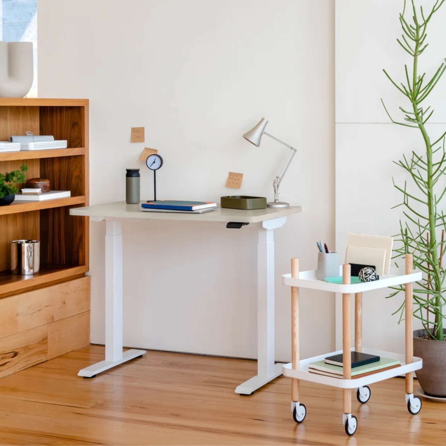 Branch Light Brown Wood Desk - image-5