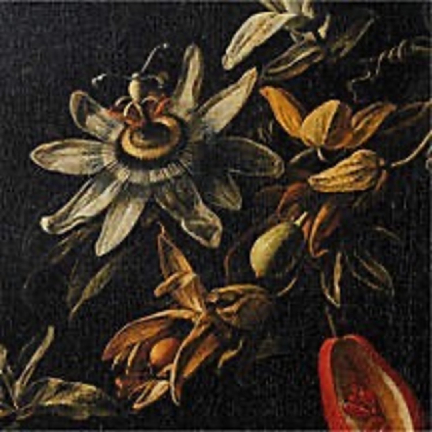 CB2 'Still Life with Passionflowers' Art 17x21" - image-2
