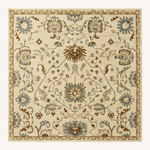 Used Pottery Barn Dovie Persian-Style Rug for sale on AptDeco