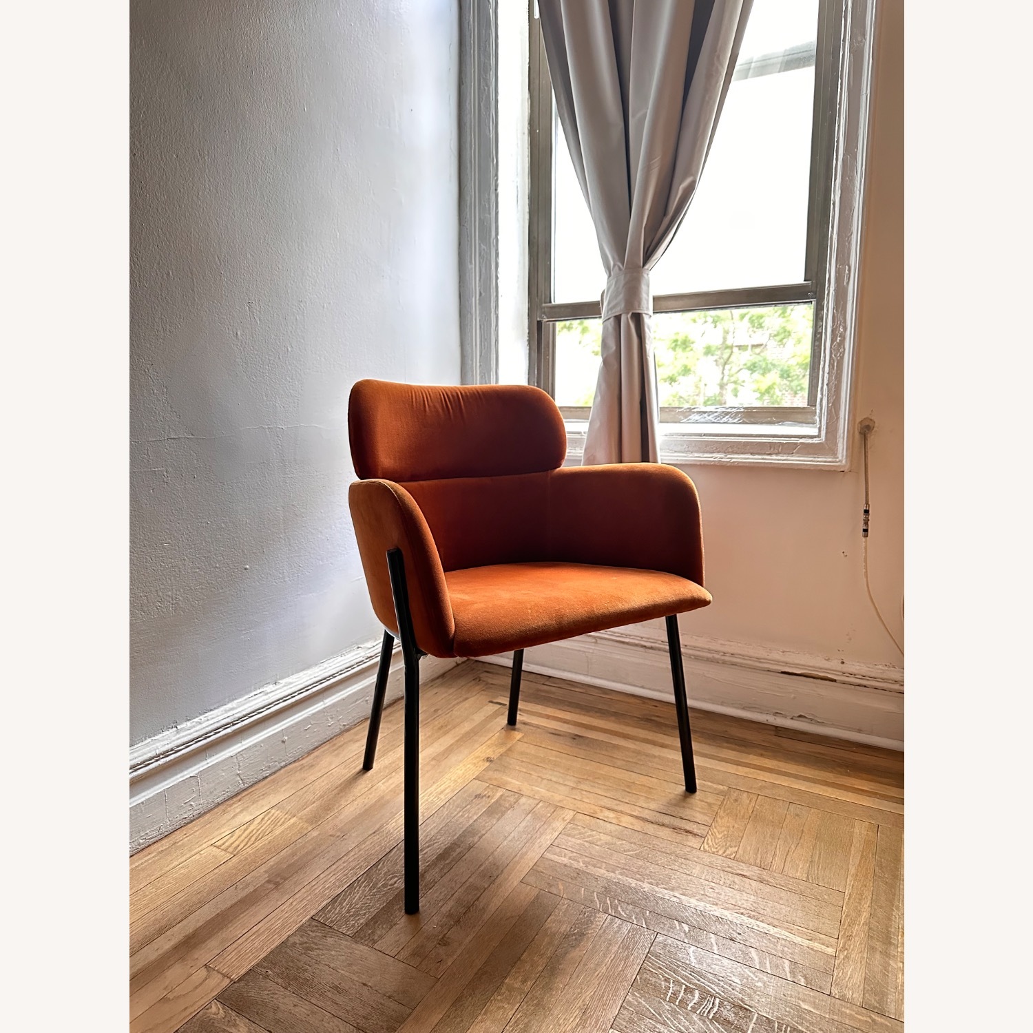 CB2 Azalea Brown Velvet Dining Chair - image-1