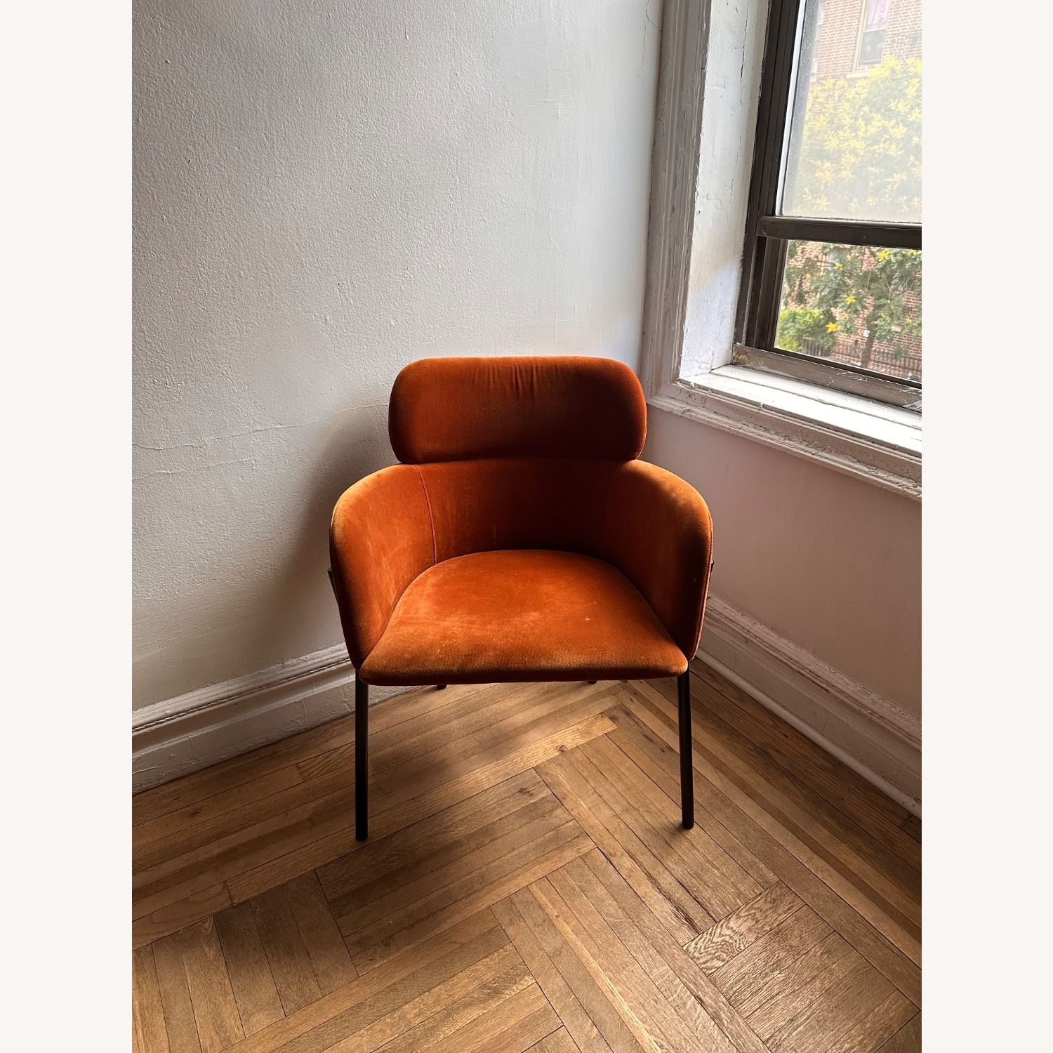 CB2 Azalea Brown Velvet Dining Chair - image-2