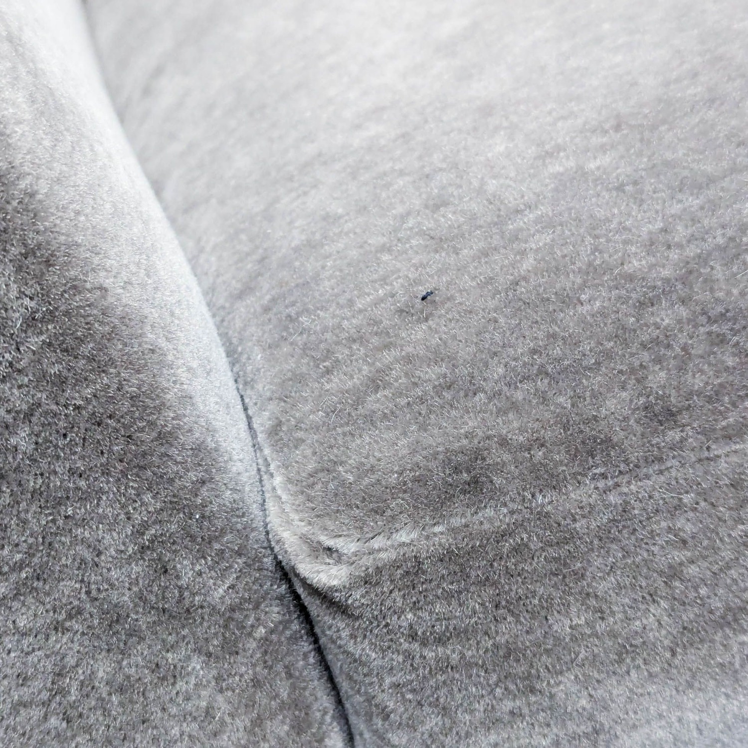 Modern Gray Velvet Lounge Chair with Curved Back  - image-5