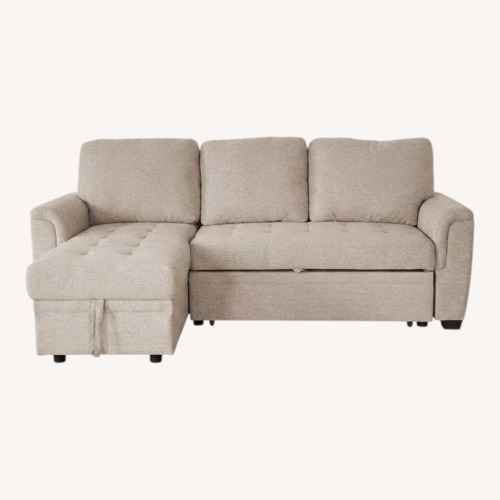 Used Sectional Sleeper Sofa with Storage Chaise for sale on AptDeco