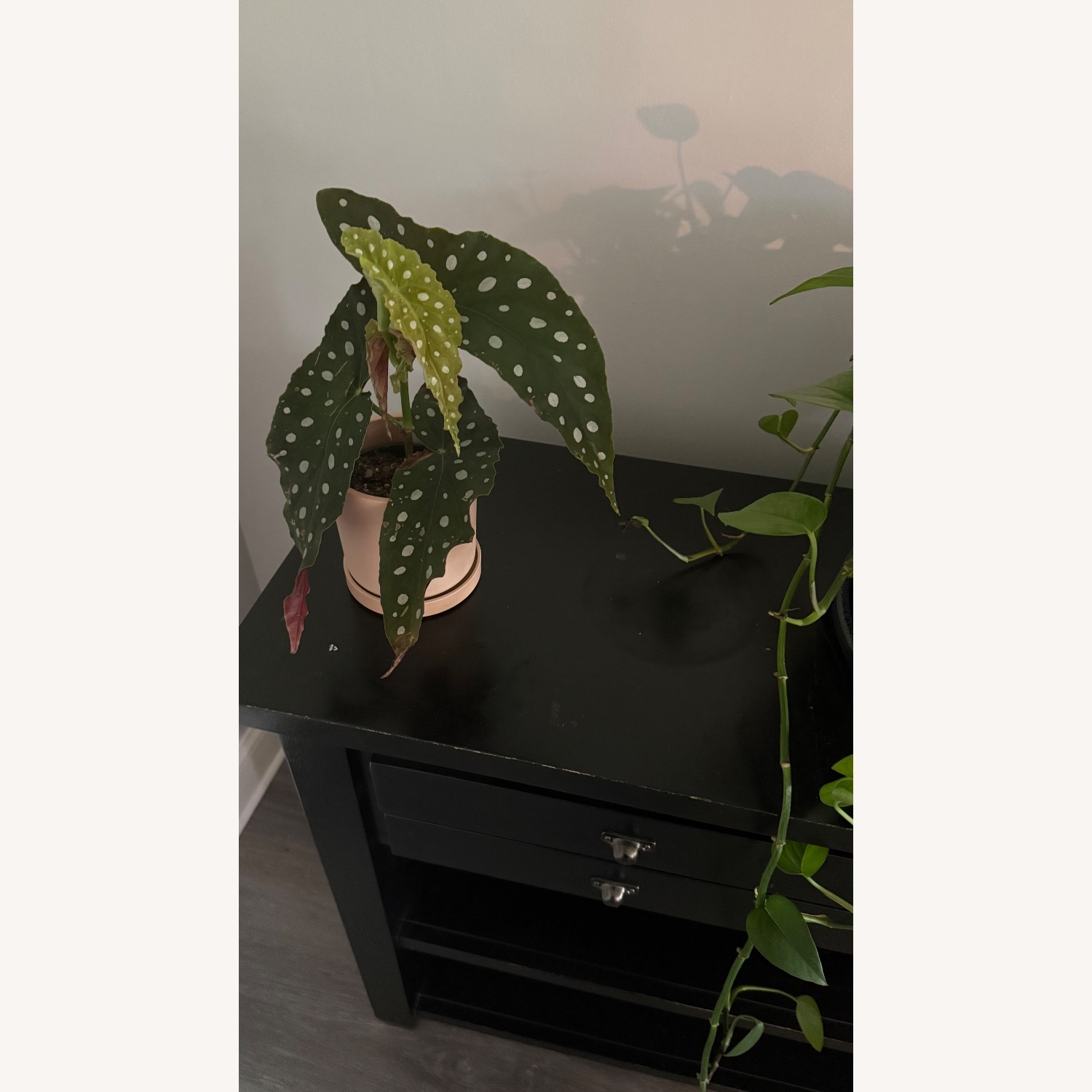 Black Wood Console - image-9