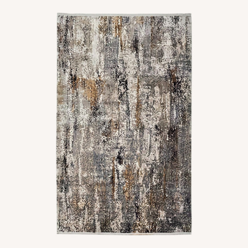 Used Feizy Cadiz 3887F Area Rug for sale on AptDeco