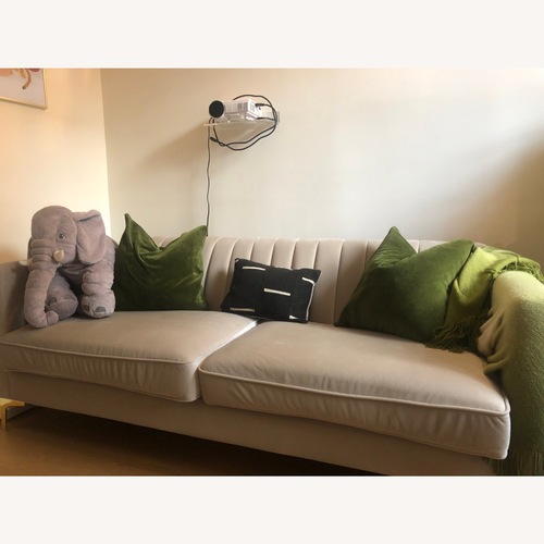 Used Urban Outfitters Marcella Velvet Couch for sale on AptDeco