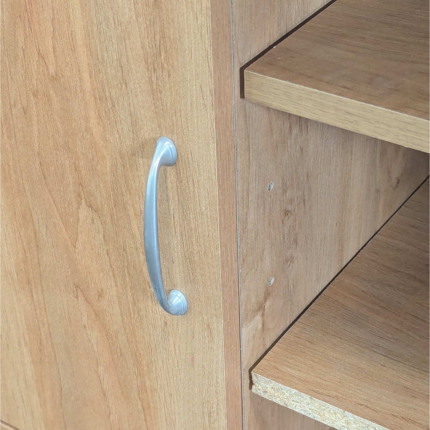 Storage Cabinet with Shelving - image-1