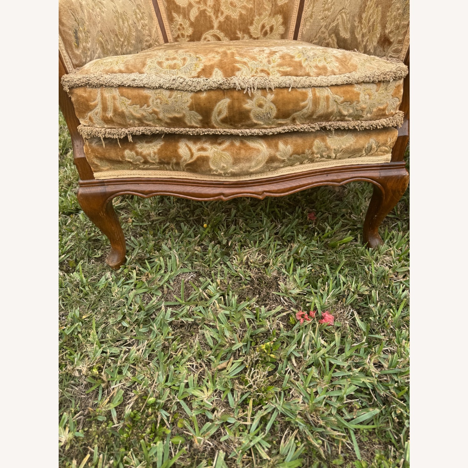 Vintage Armchairs Barrel Back to Restore - image-4