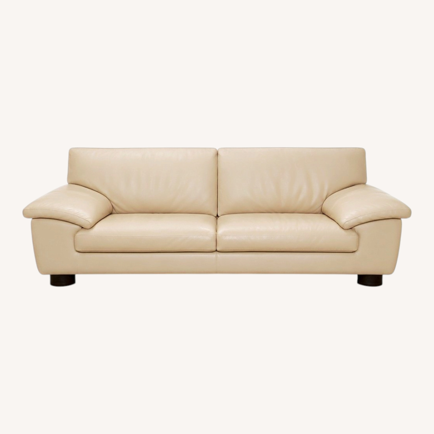 Roche Bobois Natural Leather Sleeper Sofa - image-0