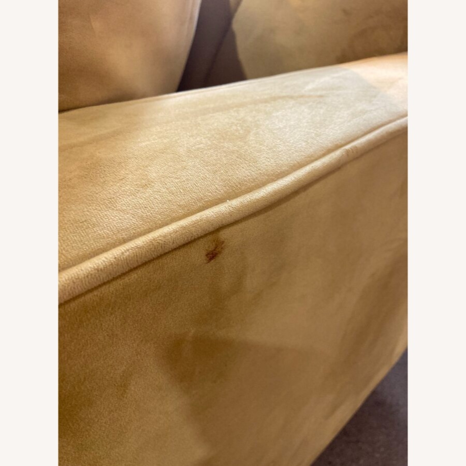 Scandinavian Designs Delphine Velvet Sofa - image-13