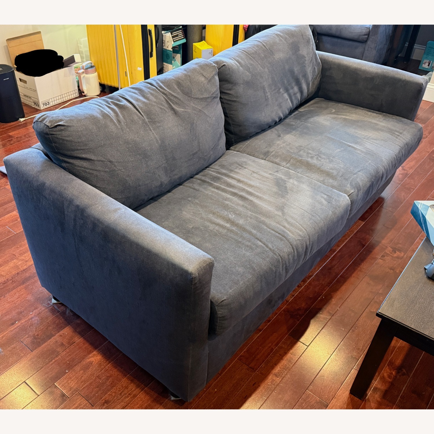 Cort Levi Sleeper Sofa - image-7